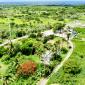 Staple Grove Plantation Yard Barbados For Sale Aerial 1 Towards Ocean