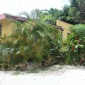 Castle Grant Plantation, St. Andrew, Barbados For Sale in Barbados