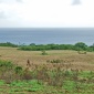 Carlton Plantation, Lower Carlton, St. Michael, Barbados For Sale in Barbados