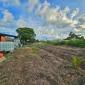 For Sale Home In Charnocks Barbados Rear Land with Plowed Fields