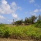 Moncrieffe, Lot 12, St. Philip, Barbados For Sale in Barbados