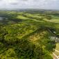Mount Brevitor Development Land For Sale Barbados 4