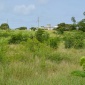 Little Kent Development, Christ Church, Barbados For Sale in Barbados