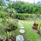 Westmoreland #3 Windrush Barbados For Sale Garden