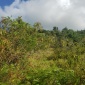 Rolling Hills #75, Byde Mill, St. George, Barbados For Sale in Barbados