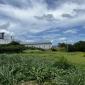 Lower Estate Barbados Commercial Land For Sale Lot Site View