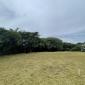 Locust Hall Lot 44 Barbados For Sale Lot View 3