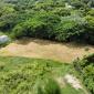 Locust Hall Lot 44 Barbados For Sale Arial View 6