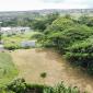 Locust Hall Lot 44 Barbados For Sale Lot View 1