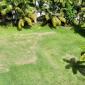 Dunscombe Lot #9, St. Thomas, Barbados For Sale in Barbados