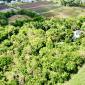 Prospect Farms 4 Bedroom Home For Sale In Barbados Aerial 2