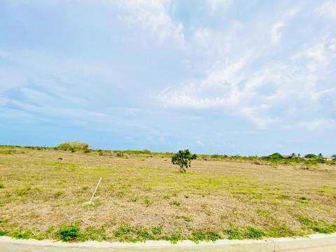 Vineyard Lot 45 For Sale Barbados 1