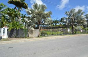 Dover Palms, Corner Lot, Christ Church, Barbados