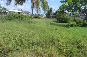 Lashley Road Lot 1,St Philip, Barbados