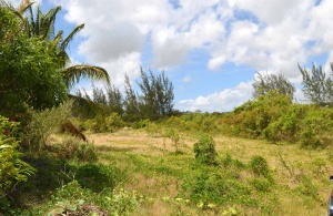 Campaign Tenantry, Lot 1A, Free Hill, St. George, Barbados