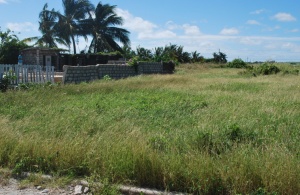 Culpepper Island Estate, Whitehaven, St. Philip, Barbados