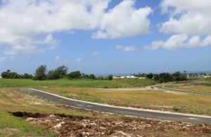 Bougainvillea Estate