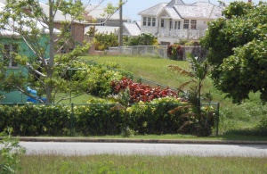 Apes Hill Polo Estate, Lot 39, St. Thomas, Barbados