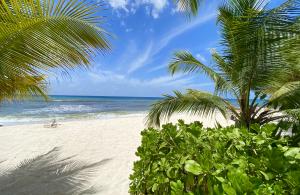 White Sands Beach Villas, Two Bedroom, St. Lawrence Gap, Barbados